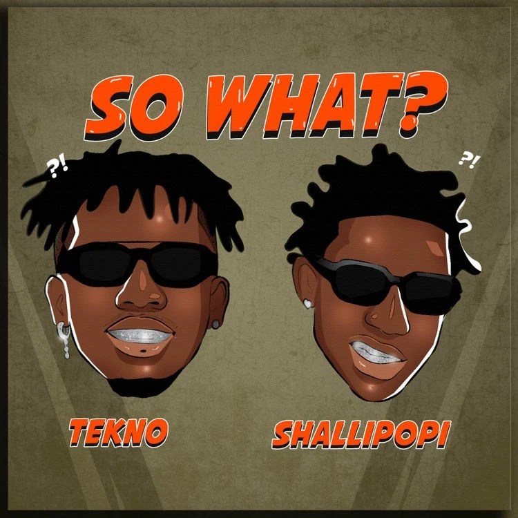 Shallipopi ft Tekno – So What?